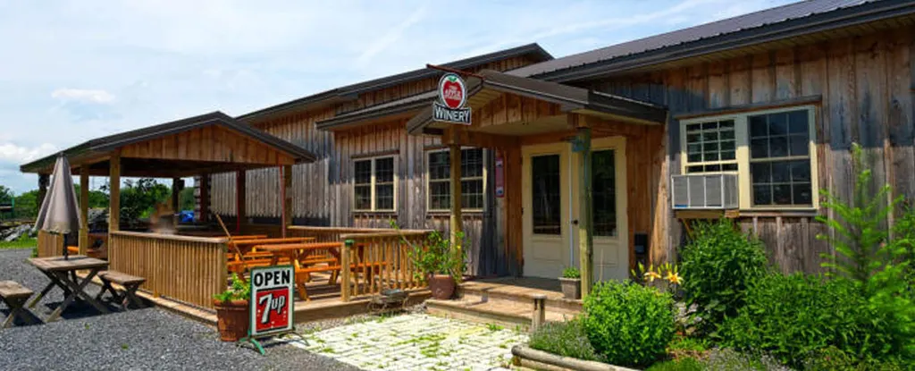 Apple Station Winery photo 4