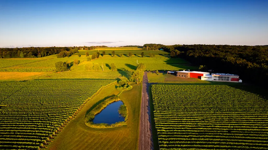 Red Tail Ridge Winery photo 3