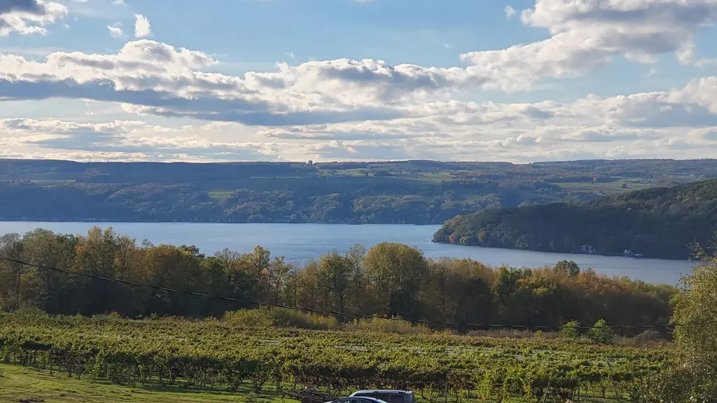 McGregor Vineyard photo 3