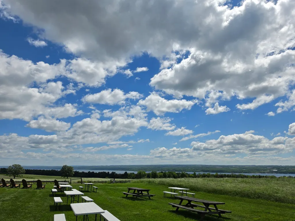 Long Point Winery photo 4
