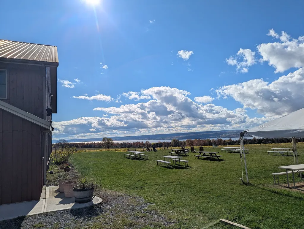 Long Point Winery photo 3
