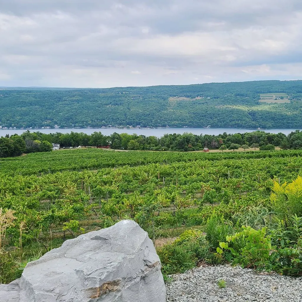 Bully Hill Vineyards photo 5