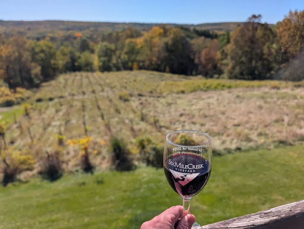 Six Mile Creek Vineyard photo 4
