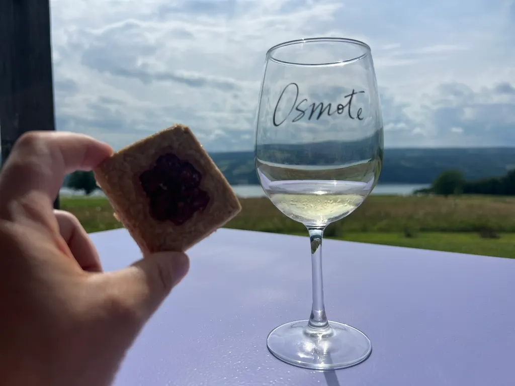 Osmote Wine photo 4