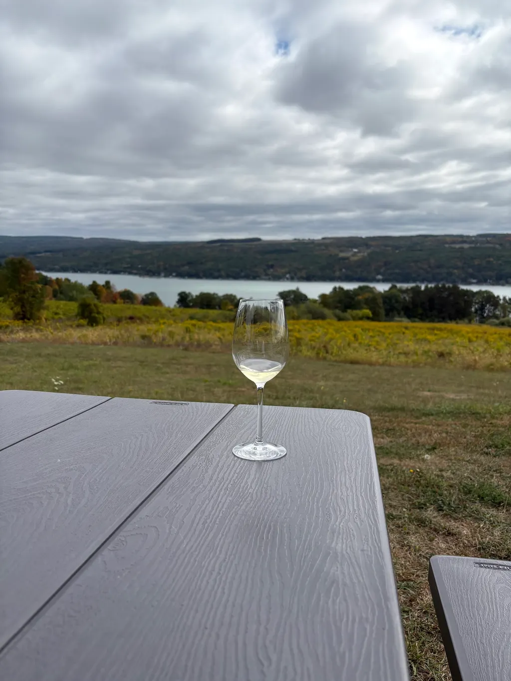 Divided Sky Vineyard photo 2