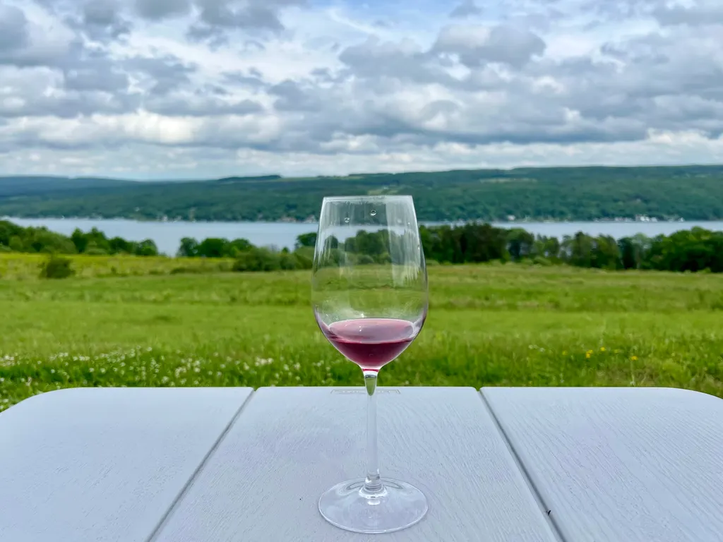 Divided Sky Vineyard photo 4