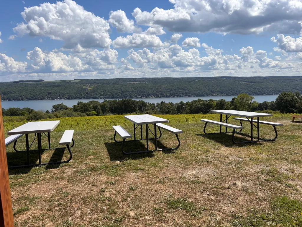 Divided Sky Vineyard photo 5
