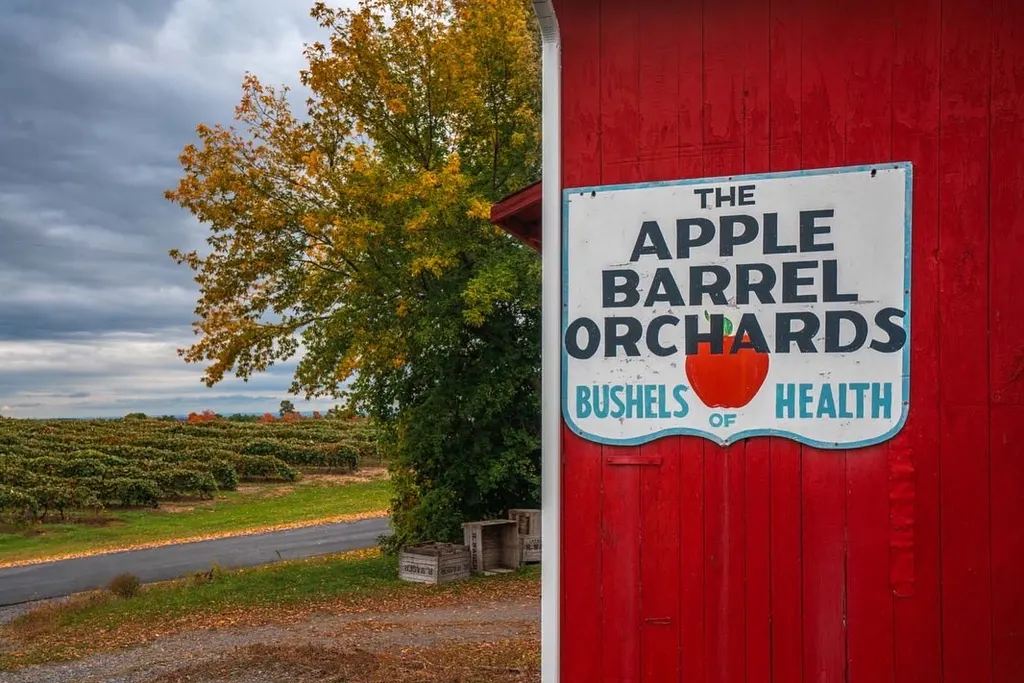 Apple Barrel Orchards and Cidery photo 5