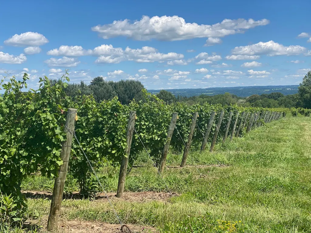 Hosmer Winery photo 3