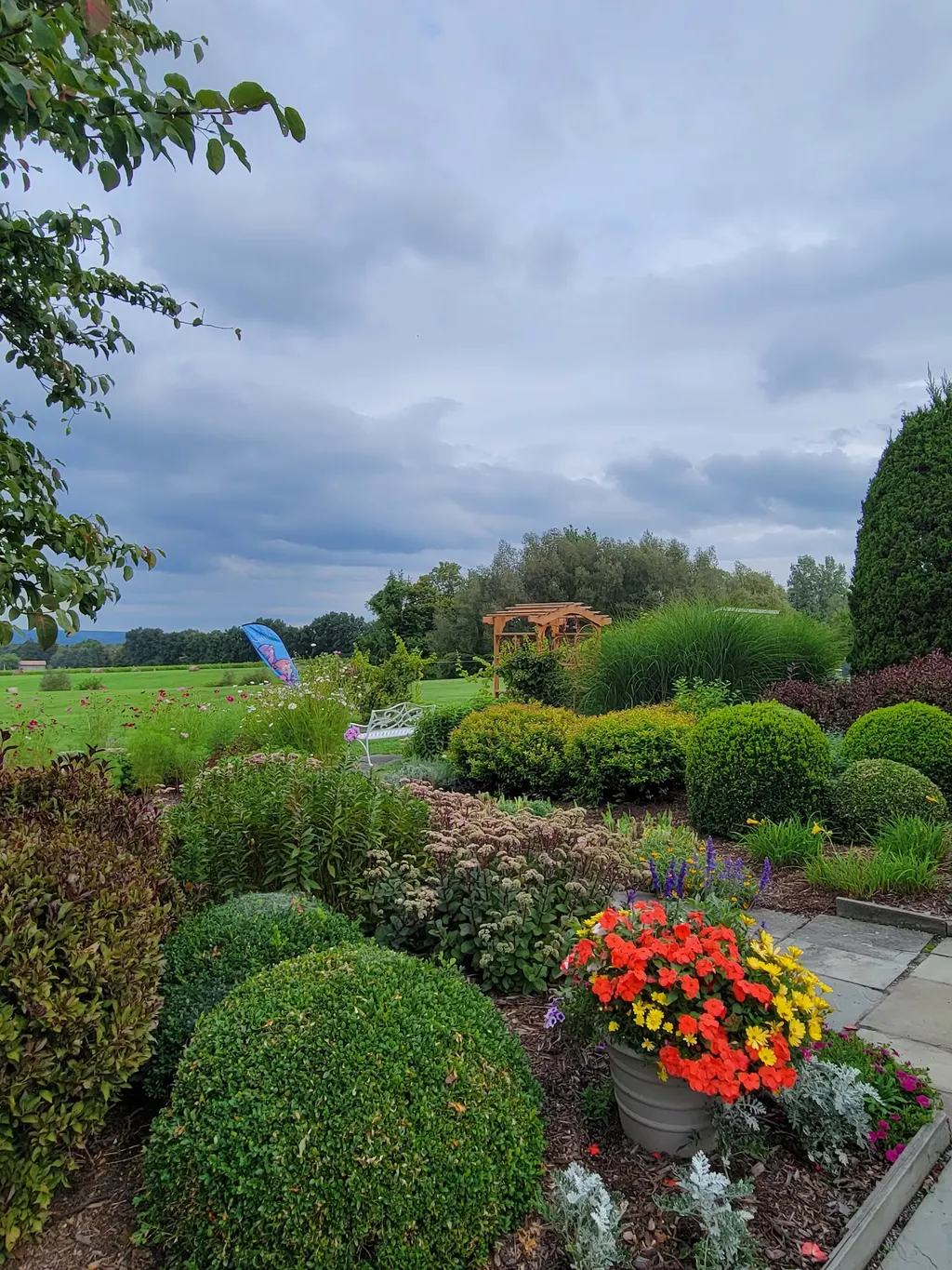 Lucas Vineyards photo 3