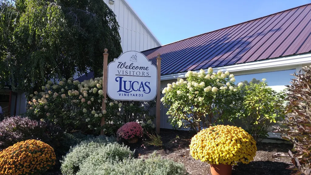 Lucas Vineyards