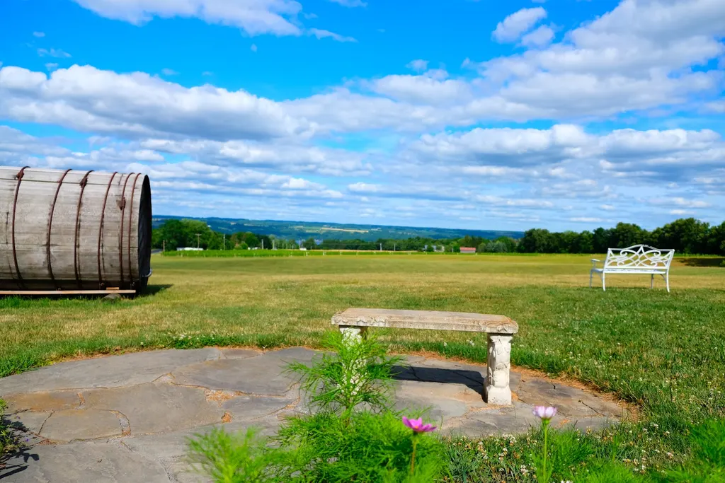 Lucas Vineyards photo 2