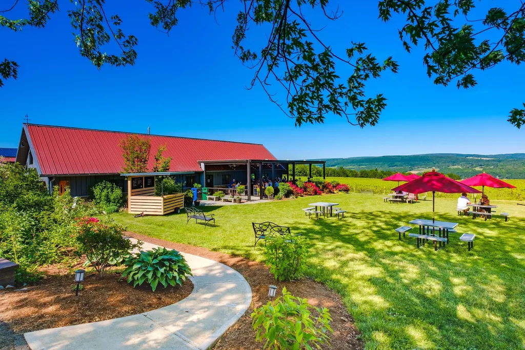 Lakewood Vineyards photo 3