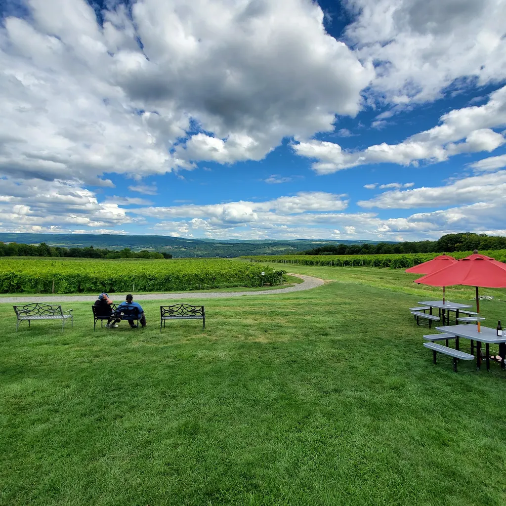 Lakewood Vineyards photo 2