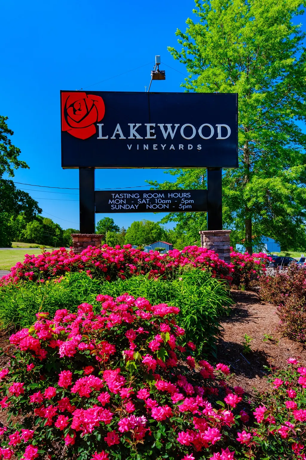 Lakewood Vineyards photo 5