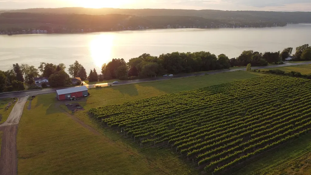 Rooster Hill Vineyards
