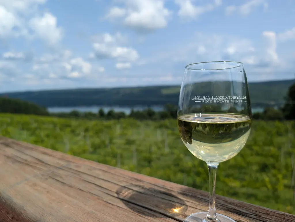 Keuka Lake Vineyards photo 3