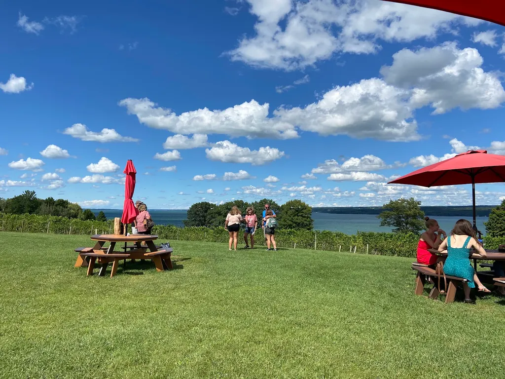 Thirsty Owl Wine Company photo 2