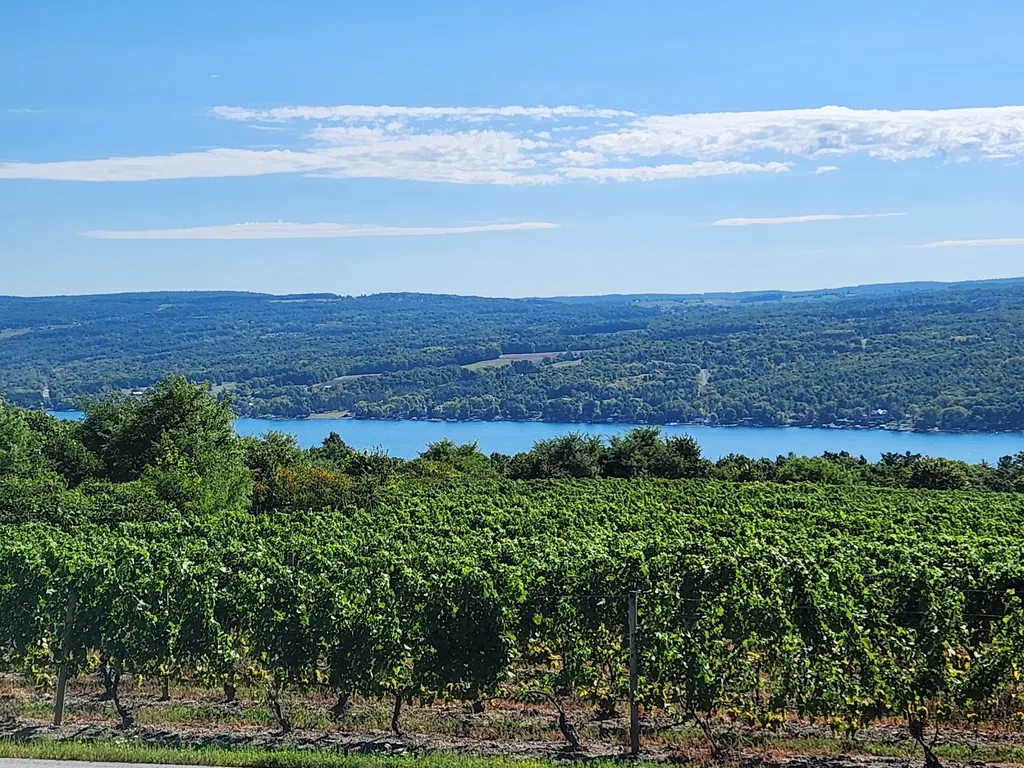 Dr. Konstantin Frank Winery photo 4