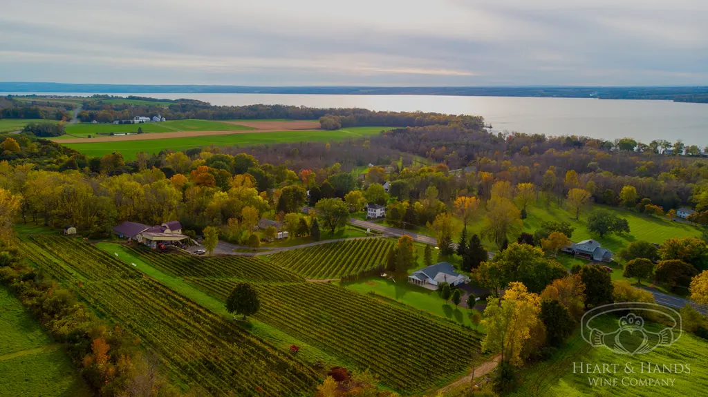 Heart & Hands Wine Company photo 5