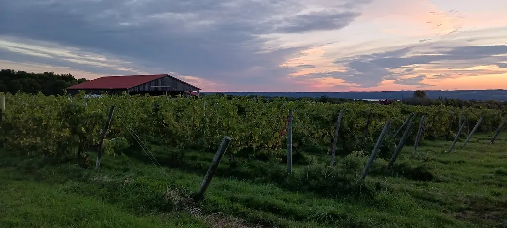 Prejean Winery photo 5