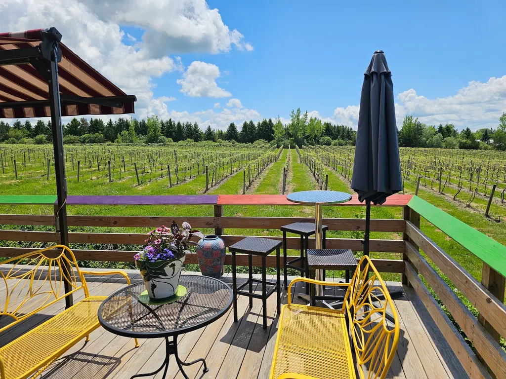 Rasta Ranch Vineyards photo 4