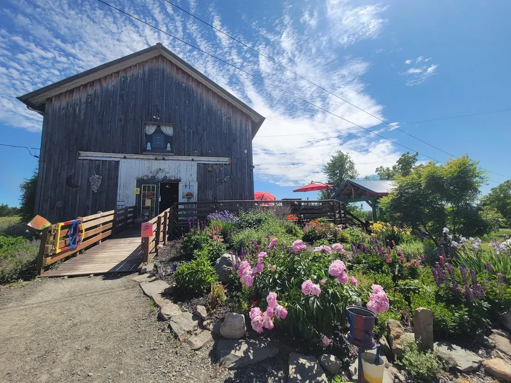 Rasta Ranch Vineyards