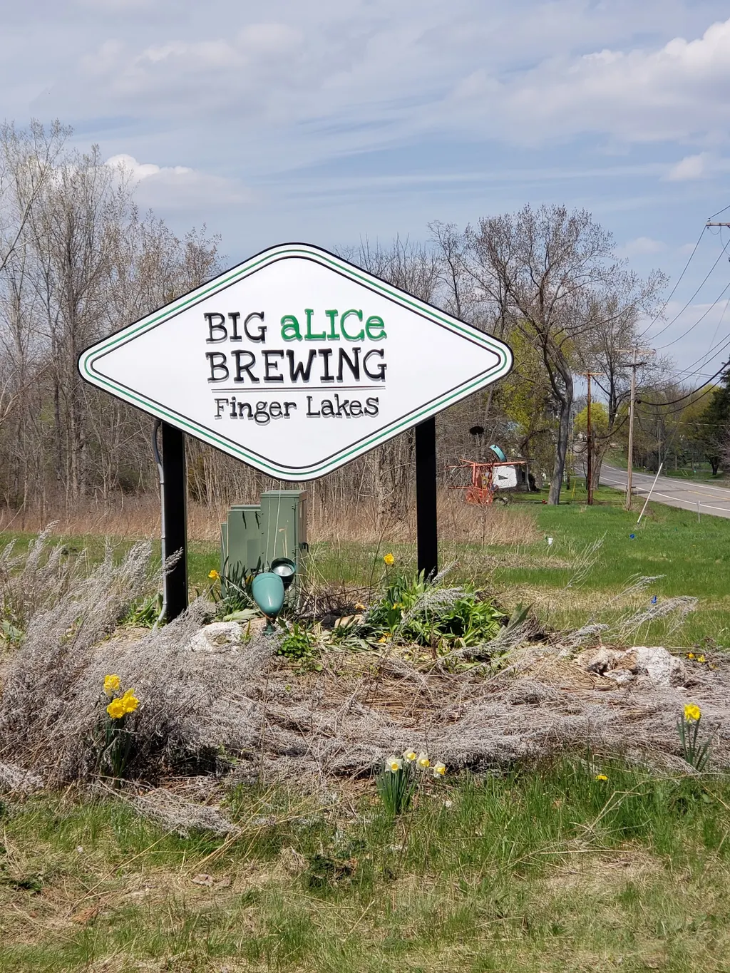 Big aLICe Brewing Finger Lakes photo 4