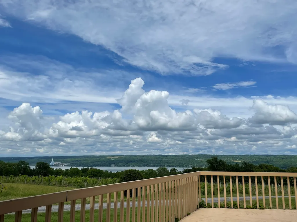 Frontenac Point Vineyard & Estate Winery photo 2