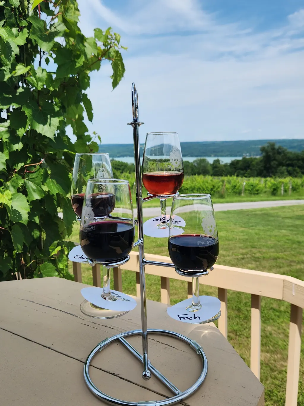 Frontenac Point Vineyard & Estate Winery photo 3