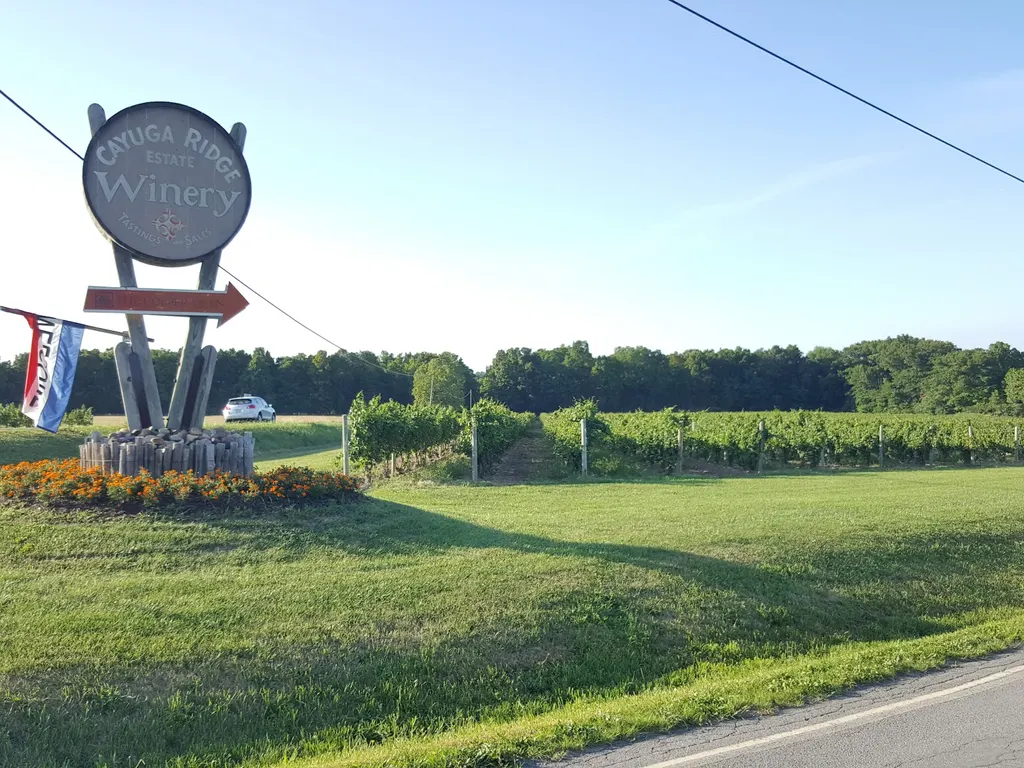 Cayuga Ridge Estate Winery photo 3