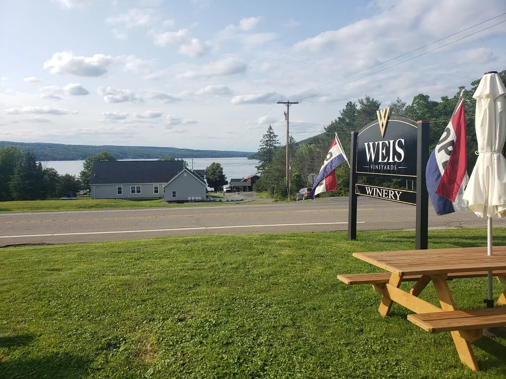 Weis Vineyards photo 5