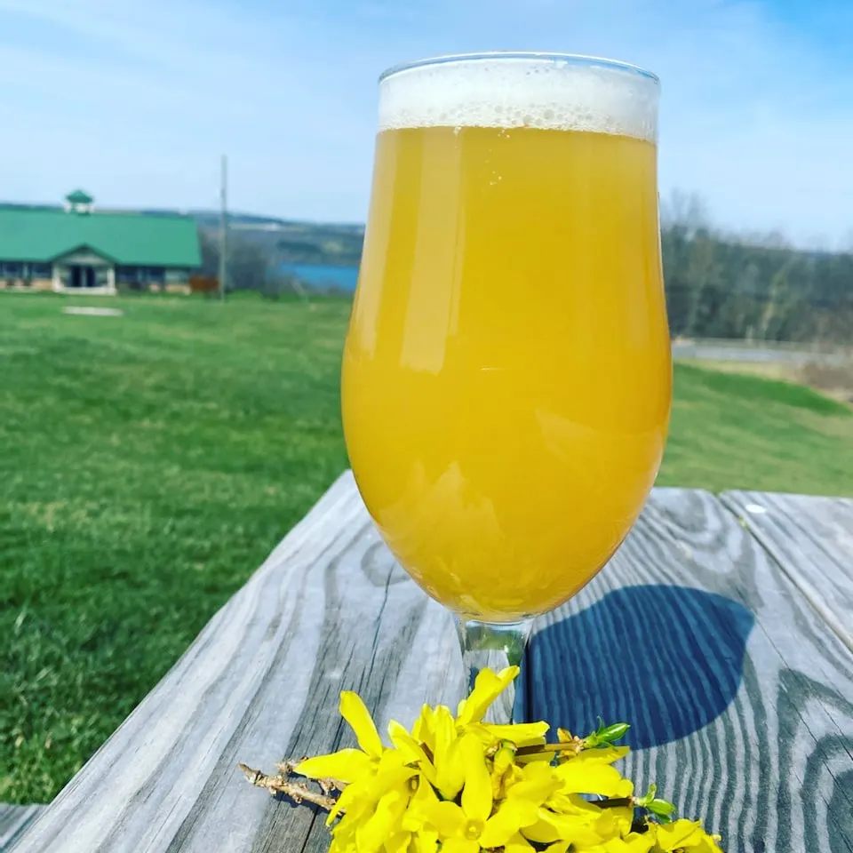 Lucky Hare Brewing Company photo 4