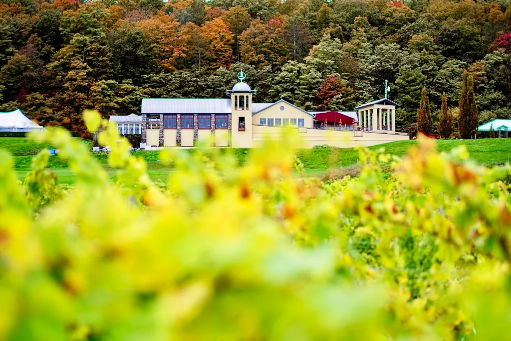 Heron Hill Winery photo 2