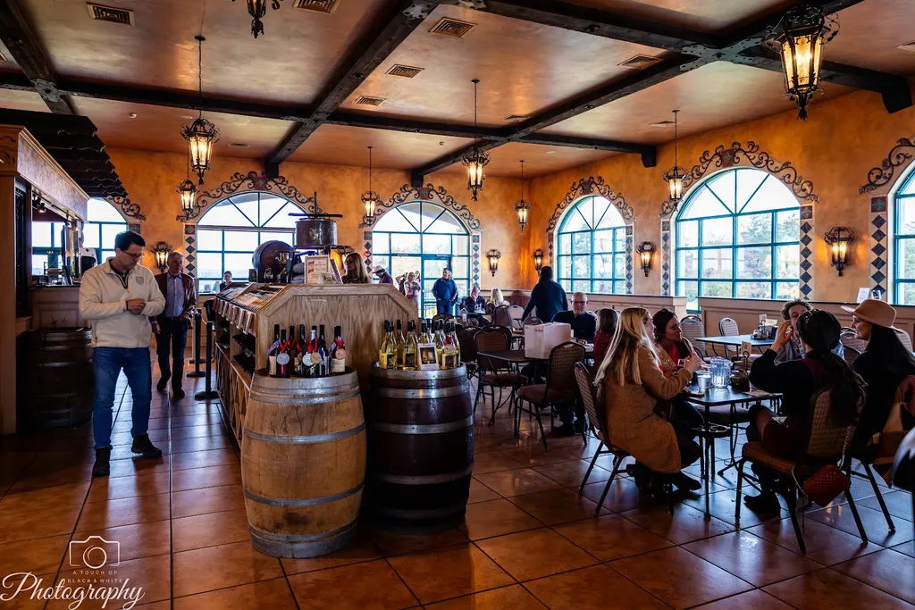 Ventosa Vineyards photo 5