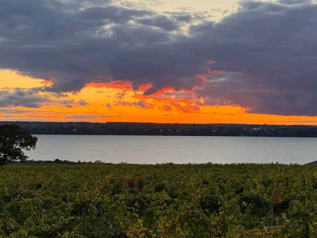 Ventosa Vineyards photo 4