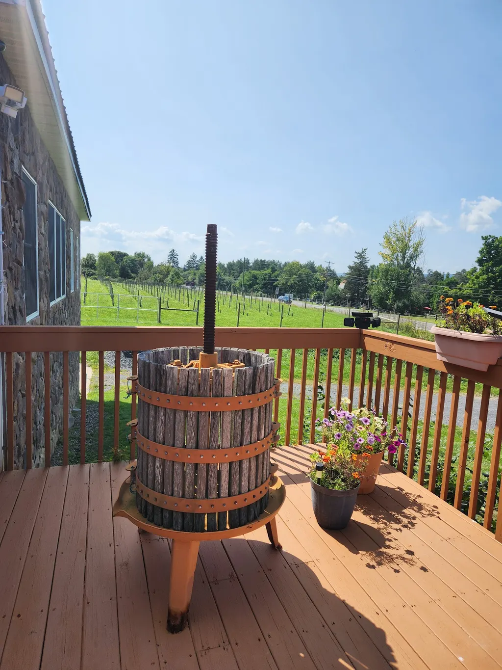 Silver Springs Winery photo 4