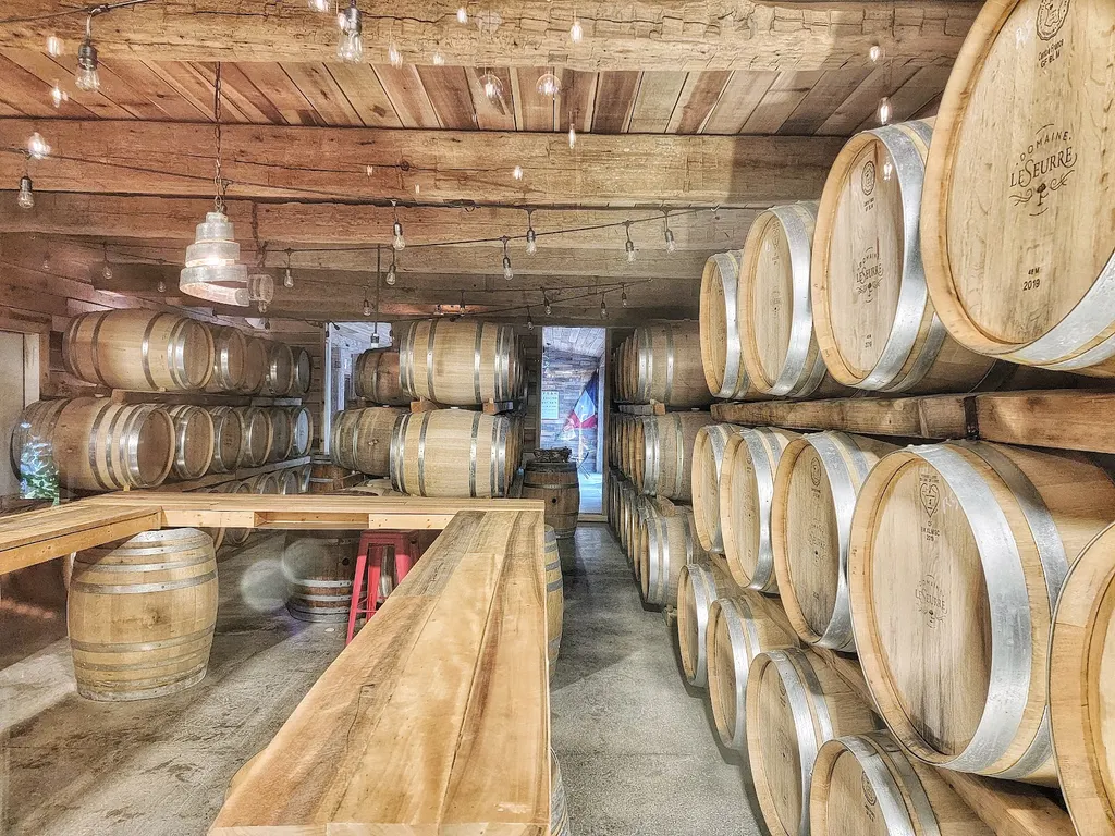 Domaine Leseurre Winery photo 5