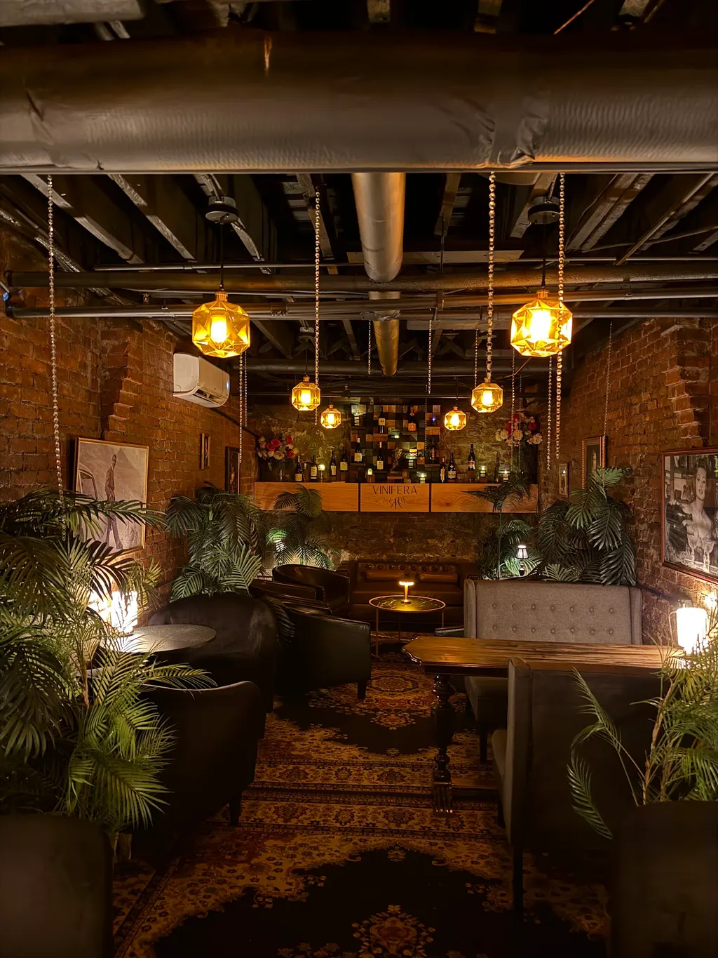 VINIFERA - Geneva Speakeasy photo 5