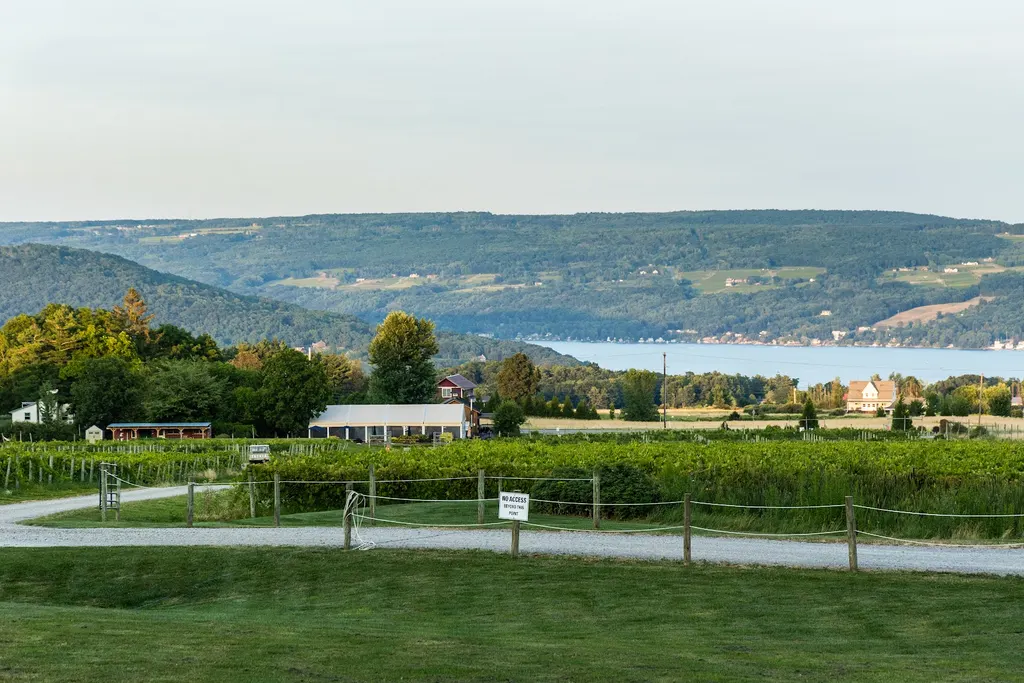 Point of the Bluff Vineyards photo 4