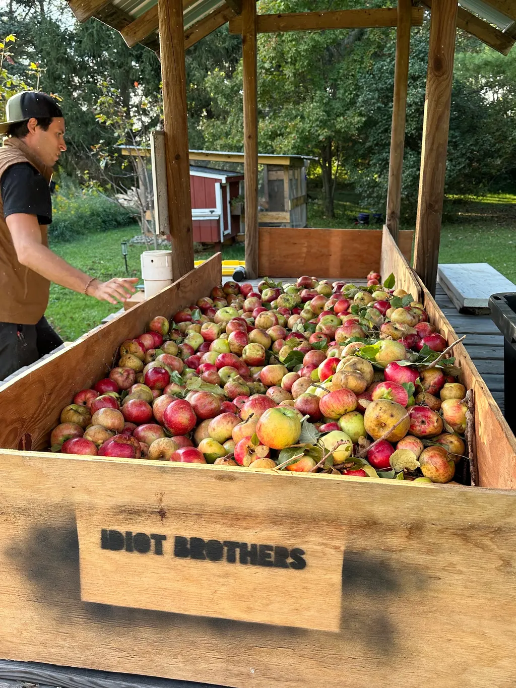 Idiot Brothers Cider photo 5