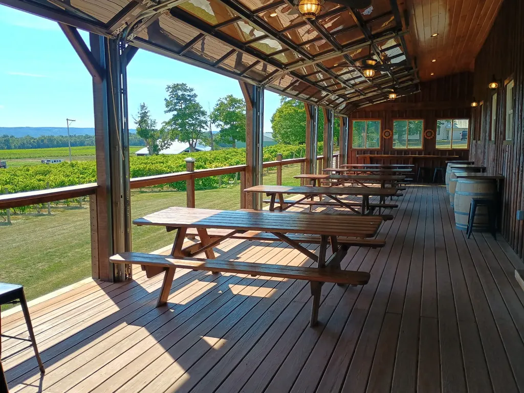 Stever Hill Vineyards photo 5