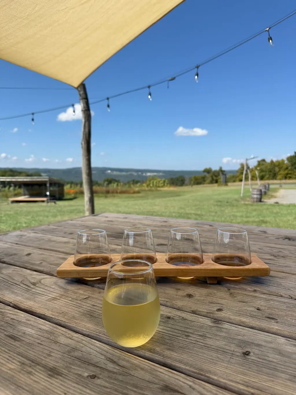 South Hill Cider photo 4