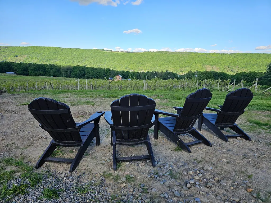 Ryan Vineyards photo 3