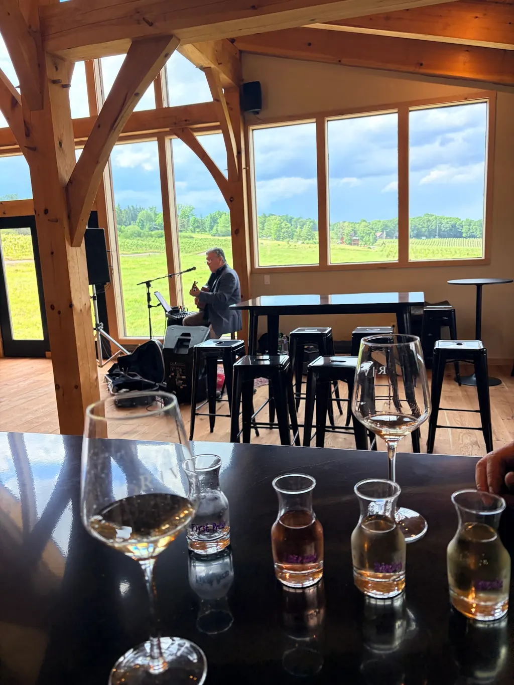Ryan Vineyards photo 4