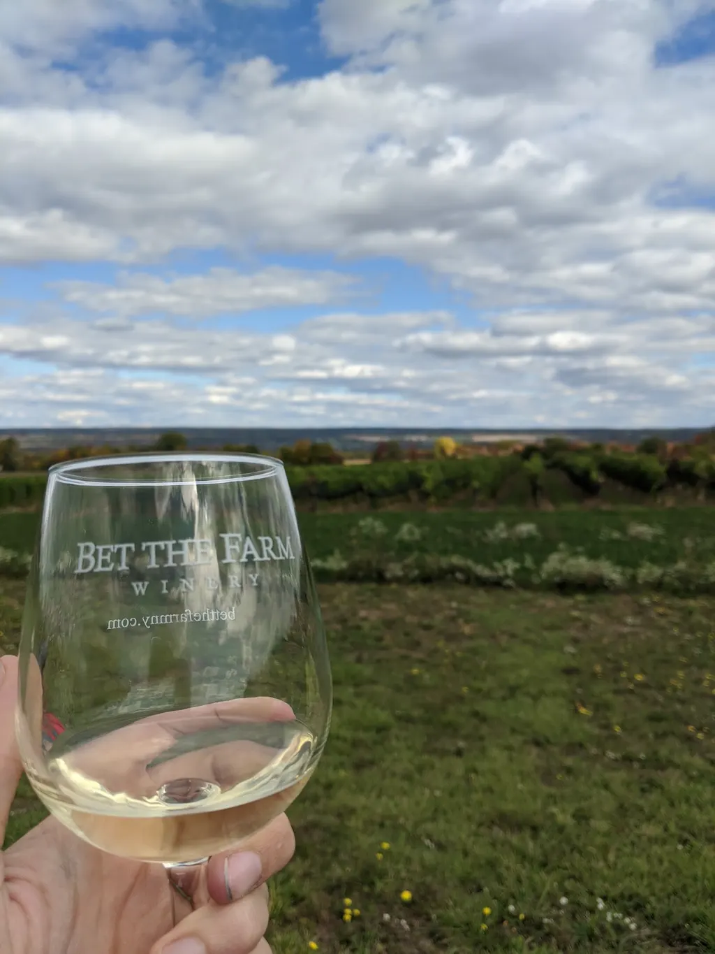 Bet the Farm Winery photo 4