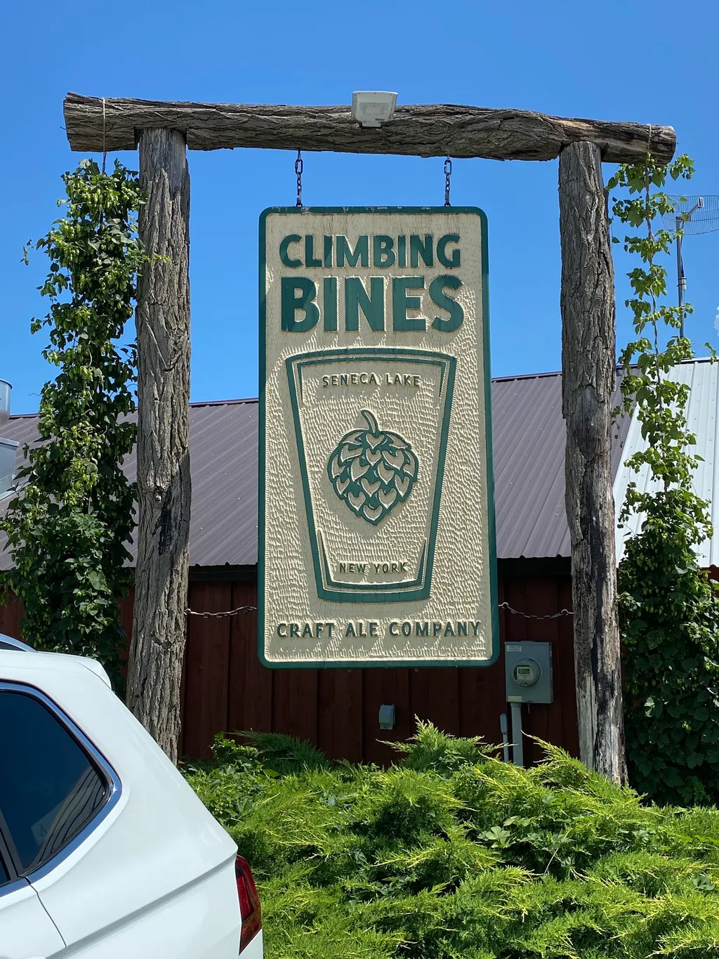 Climbing Bines Hop Farm & Brewery