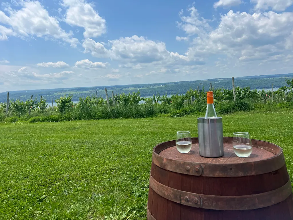 Leidenfrost Vineyards photo 4