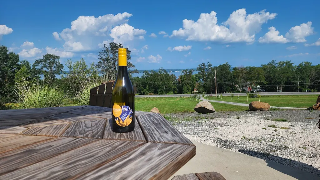 Scout Vineyards photo 4