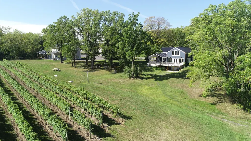 Airy Acres Vineyard photo 4